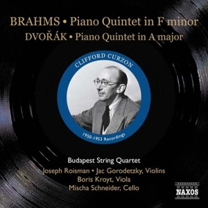 Dvorak/Brahms - Pian in the group Externt_Lager /  at Bengans Skivbutik AB (565156)