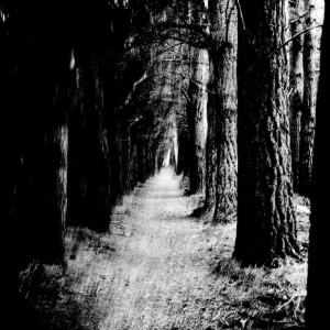 Stray Theories - Falter in the group VINYL / Upcoming releases / Pop-Rock at Bengans Skivbutik AB (5651838)