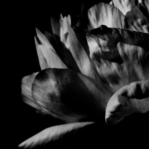 Louise Roam - Là Où Passe La Nuit in the group VINYL / Upcoming releases / Pop-Rock at Bengans Skivbutik AB (5651863)