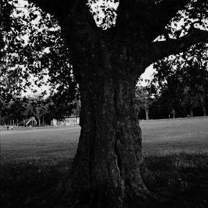 Archy Marshall - A New Place 2 Drown (Instrumentals) in the group VINYL / Pop-Rock at Bengans Skivbutik AB (5652185)