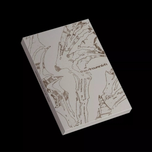 Enhypen - The Sin : Vanish (Afterlight Ver.) in the group OUR PICKS / Friday Releases / 2026-01-16 at Bengans Skivbutik AB (5652590)