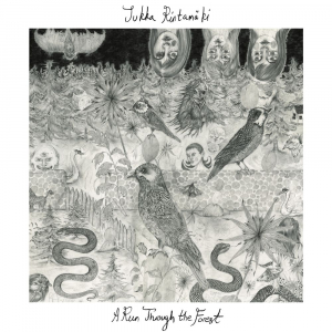 Jukka Rintamäki - A Run Through The Forest (180g White Vinyl LP) in the group VINYL / Upcoming releases / Pop-Rock at Bengans Skivbutik AB (5653303)