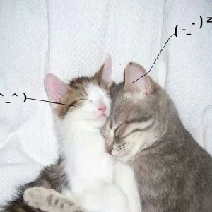 Retail Drugs - I Love You So! in the group Kommande / Pop-Rock at Bengans Skivbutik AB (5653488)