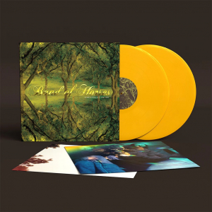 Band Of Horses - Everything All the Time (20th Anniversary Loser Edition Opaque Yellow 2LP) in the group VINYL / Upcoming releases / Pop-Rock at Bengans Skivbutik AB (5653980)