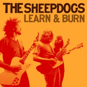 Sheepdogs The - Learn & Burn in the group VINYL / Upcoming releases / Pop-Rock at Bengans Skivbutik AB (5654015)
