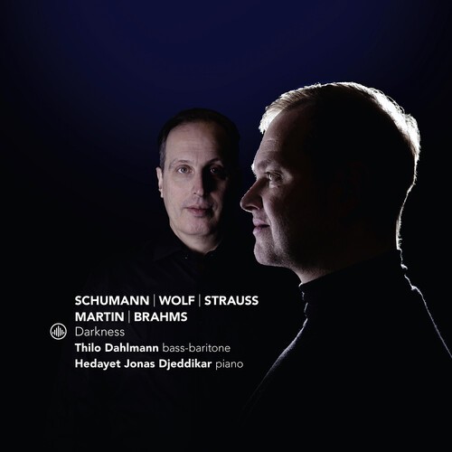 Thilo Dahlmann & Hedayet Jonas Djeddikar - Darkness in the group CD / Klassiskt at Bengans Skivbutik AB (5654281)
