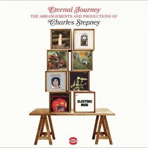 Various Artists - Eternal Journey - The Arrangements in the group VINYL / Upcoming releases / Pop-Rock at Bengans Skivbutik AB (5654603)