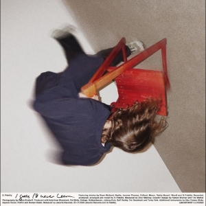 S. Fidelity - I Guess I?Ll Never Learn in the group VINYL / Upcoming releases / Pop-Rock at Bengans Skivbutik AB (5654638)