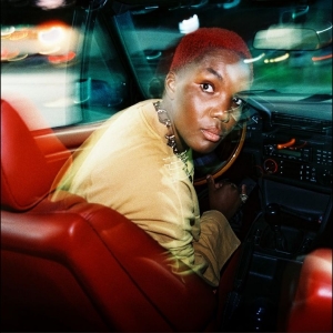 Arlo Parks - Ambiguous Desire (Black Vinyl) in the group OUR PICKS / Bengans Staff Picks / Morgan recommends at Bengans Skivbutik AB (5654736)