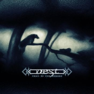 Nest - Trail Of The Unwary (2 Lp Vinyl) in the group VINYL / Upcoming releases / Hårdrock at Bengans Skivbutik AB (5655019)