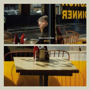 Wilson Danny George - Arcade in the group VINYL / Upcoming releases / Pop-Rock at Bengans Skivbutik AB (5655065)