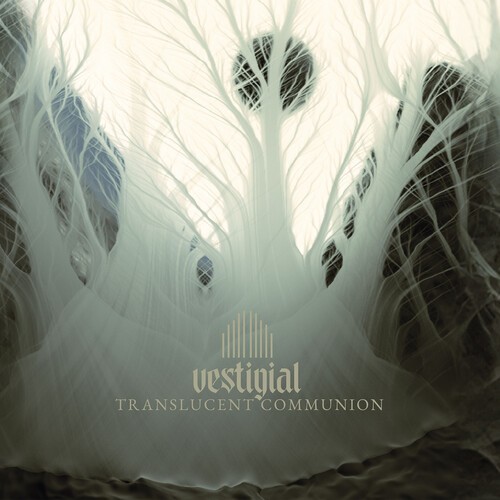 Vestigial - Translucent Communion in the group CD / Pop-Rock at Bengans Skivbutik AB (5655233)