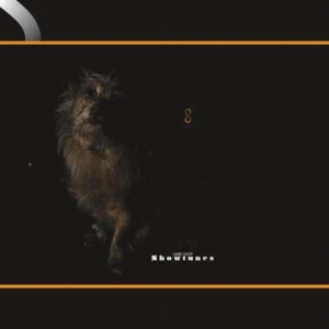 Lambchop - Showtunes in the group VINYL / Pop-Rock at Bengans Skivbutik AB (5655861)