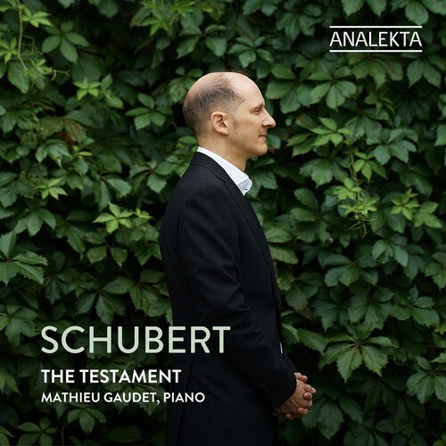 Franz Schubert - The Testament in the group CD / Bestsellers at Bengans Skivbutik AB (5656124)