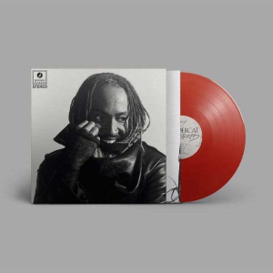 Thundercat - Distracted (Red Vinyl) in the group VINYL / Upcoming releases / RnB-Soul at Bengans Skivbutik AB (5656183)