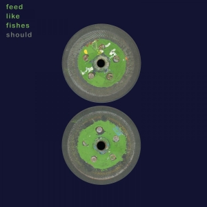 Should - Feed Like Fishes in the group CD / Upcoming releases / Pop-Rock at Bengans Skivbutik AB (5656298)