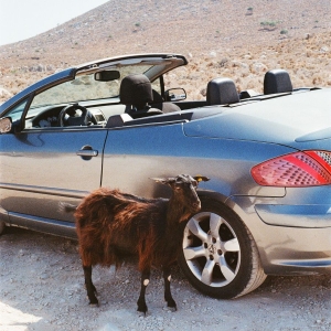 Exek - Prove The Mountains Move in the group VINYL / Upcoming releases / Pop-Rock at Bengans Skivbutik AB (5656303)