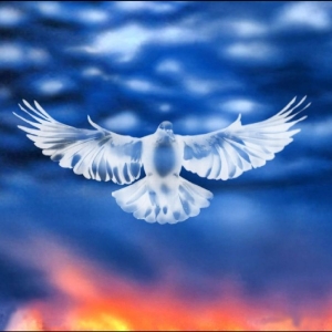 Falty Dl - Mission Barnhus in the group VINYL / Upcoming releases / Pop-Rock at Bengans Skivbutik AB (5656445)