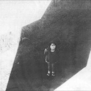 Field Commander Ali - The Next From Field Commander in the group VINYL / Upcoming releases / Pop-Rock at Bengans Skivbutik AB (5656577)