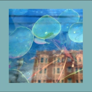 Reds Pinks & Purples The - Acknowledge Kindness in the group CD / Upcoming releases / Pop-Rock at Bengans Skivbutik AB (5656732)