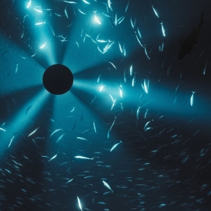 Laurel Halo - Midnight Zone (Original Soundtrack in the group VINYL / Upcoming releases / Film-Musikal at Bengans Skivbutik AB (5656764)