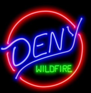 Deny - Wildfire (Vinyl Lp) in the group OUR PICKS / Friday Releases / 2026-02-27 at Bengans Skivbutik AB (5658098)