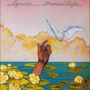 Cymande - Promised Heights in the group VINYL / Upcoming releases / Pop-Rock,RnB-Soul at Bengans Skivbutik AB (5658295)