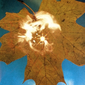 Soyuz - Force Of The Wind in the group VINYL / Jazz at Bengans Skivbutik AB (5658442)