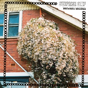 Surprise Chef - Daylight Savings in the group VINYL / Jazz at Bengans Skivbutik AB (5658443)