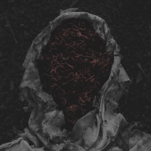 Gorrch - Stillamentum in the group OUR PICKS / Friday Releases / 2026-03-13 at Bengans Skivbutik AB (5658631)