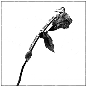 Speglas - Endarkenment, Being & Death in the group OUR PICKS / Friday Releases / 2026-02-27 at Bengans Skivbutik AB (5658732)