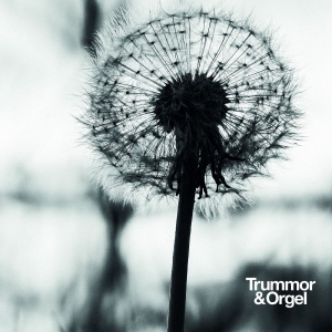 Trummor & Orgel - Graceful Degradation / New Beginnin in the group CD / Upcoming releases / Pop-Rock at Bengans Skivbutik AB (5658734)