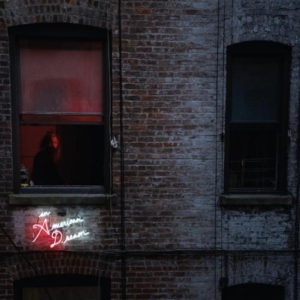 Vietnam - An American Dream in the group CD / Pop-Rock at Bengans Skivbutik AB (565883)