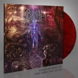 Archspire - Lucid Collective (Transparent Red/B in the group VINYL / Upcoming releases / Hårdrock at Bengans Skivbutik AB (5659071)