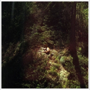 Will Samson - Sings Again in the group VINYL / Upcoming releases / Pop-Rock at Bengans Skivbutik AB (5659620)