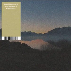 Azumi Okaruma & Andrea Esperti - Nighthawks in the group VINYL / Upcoming releases / Pop-Rock at Bengans Skivbutik AB (5659659)