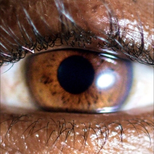 Evadney - It?S Dreaming in the group VINYL / Upcoming releases / Pop-Rock at Bengans Skivbutik AB (5659668)