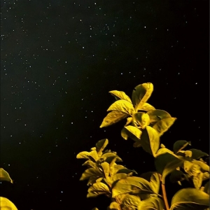 Thomas Peter - Changing Bodies in the group VINYL / Upcoming releases / Pop-Rock at Bengans Skivbutik AB (5660027)