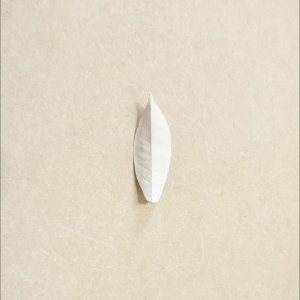 Sylvain Chauveau - The Complexity Of The Simple in the group VINYL / Upcoming releases / Pop-Rock at Bengans Skivbutik AB (5662608)