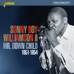 Williamson - Mr. Down Child in the group OUR PICKS / Friday Releases / 2026-03-13 at Bengans Skivbutik AB (5662656)