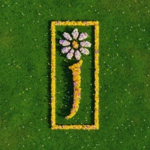 James - Nothing But Love - The Definitive Best Of in the group VINYL / Pop-Rock at Bengans Skivbutik AB (5662812)