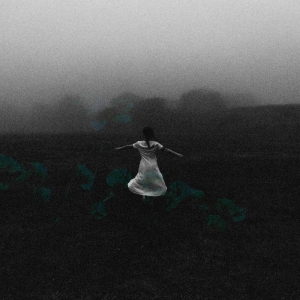 Deerlady - Deerlady in the group VINYL / Upcoming releases / Pop-Rock at Bengans Skivbutik AB (5662867)