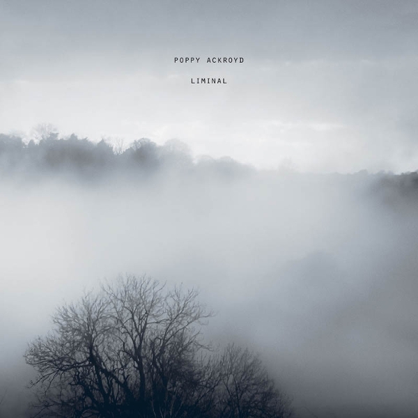 Poppy Ackroyd - Liminal in the group OUR PICKS / Friday Releases / 2026-06-26 at Bengans Skivbutik AB (5663670)