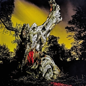 Real Farmer - Two Wrongs Don't Make A Right in the group VINYL / Upcoming releases / Pop-Rock at Bengans Skivbutik AB (5664110)