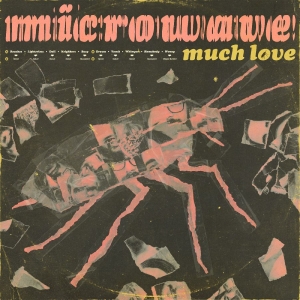 Microwave - Much Love (10 Year Anniversary Edit in the group VINYL / Upcoming releases / Pop-Rock at Bengans Skivbutik AB (5664294)