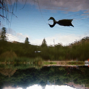 Tomu Dj - Antagonist in the group VINYL / Upcoming releases / Pop-Rock at Bengans Skivbutik AB (5664312)