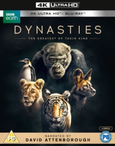 Movie - Dynasties in the group Movies / Film UHD-4K at Bengans Skivbutik AB (5664404)