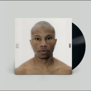 Tygapaw - Together You Gather All Power Appli in the group VINYL / Upcoming releases / Pop-Rock at Bengans Skivbutik AB (5665015)