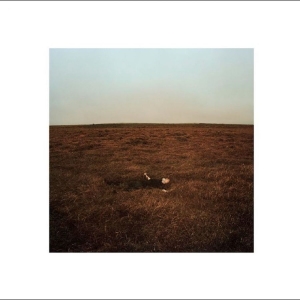 Fink - The City Coming To Erase It All in the group VINYL / Upcoming releases / Pop-Rock at Bengans Skivbutik AB (5665250)