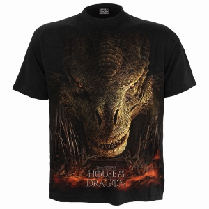 House Of The Dragon - Dragon Throne - T-Shirt in the group MERCHANDISE / T-shirt / TV series at Bengans Skivbutik AB (5666019r)
